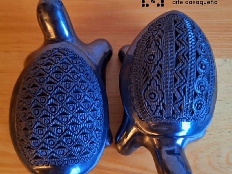 Tortuga Negra MX