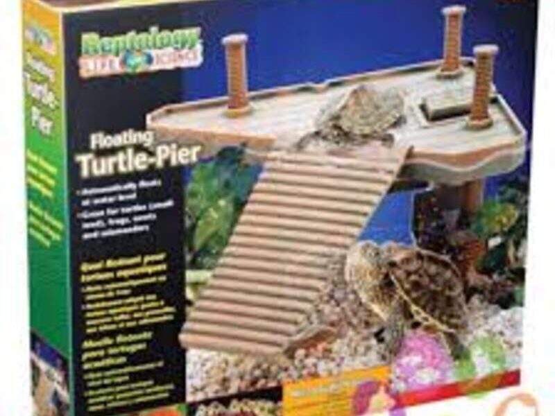 Muelle para Tortuga México