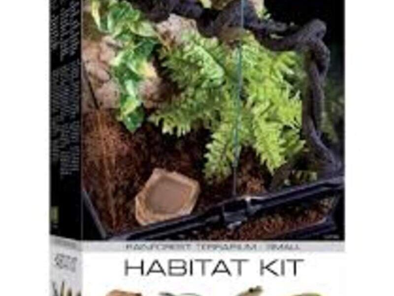 Kit Inicio Terrario Selva México