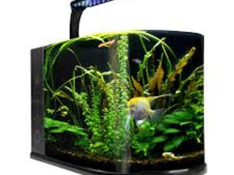 ACUARIO NANO BULLET 12LTS México