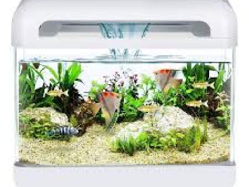 ACUARIO NANO CASCADA 15LTS México