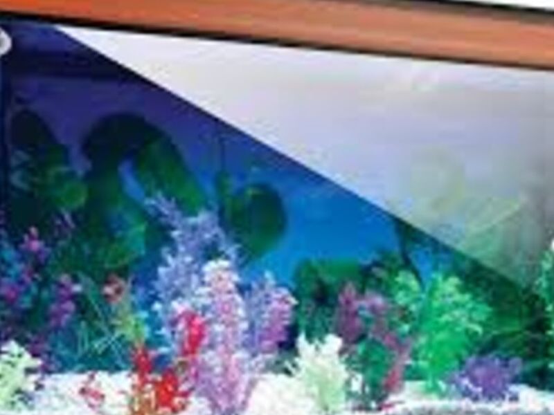 DURALUMIN ACUARIO 210LTS México