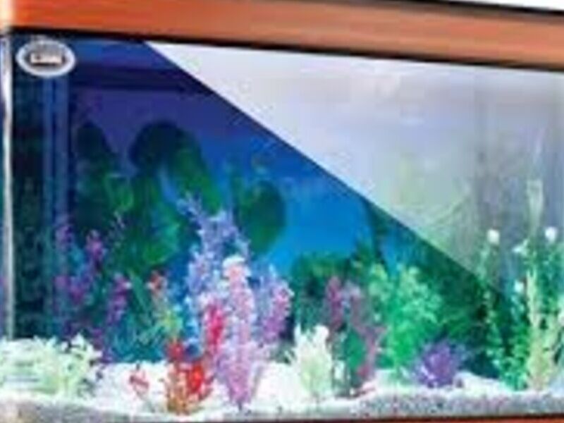Acuario Linea Duralumin Led México 