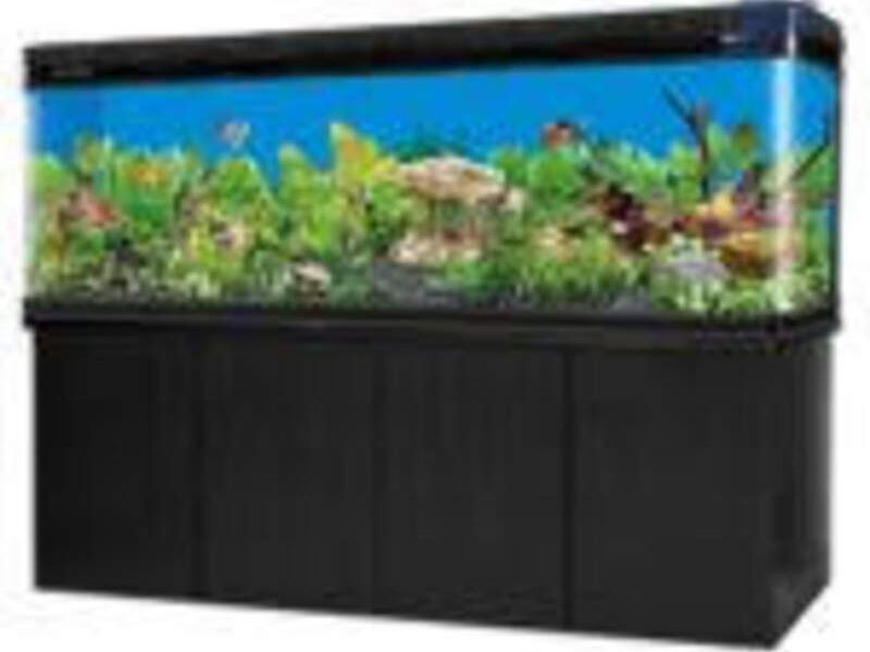 Acuario Linea Extreme México