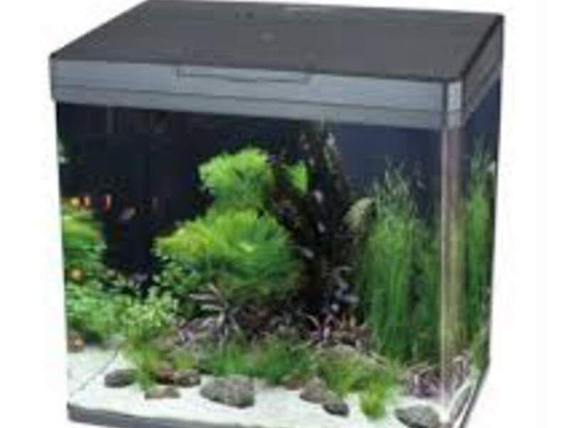 Acuario Linea Multi Sistema México