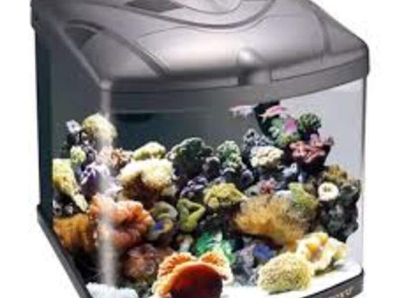 Acuario TL México