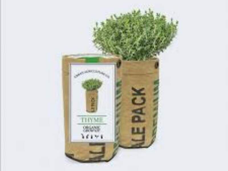 Kit de Cultivo Hierbas y Flores México