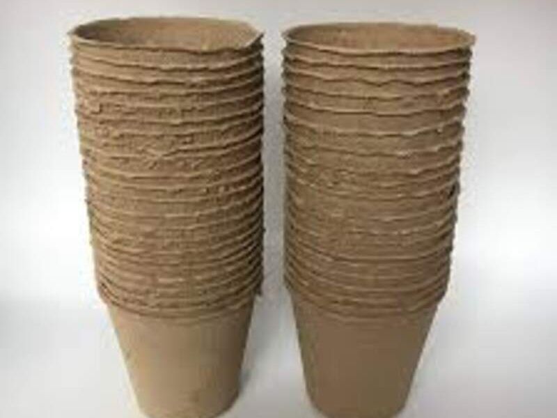 Maceta Biodegradable México