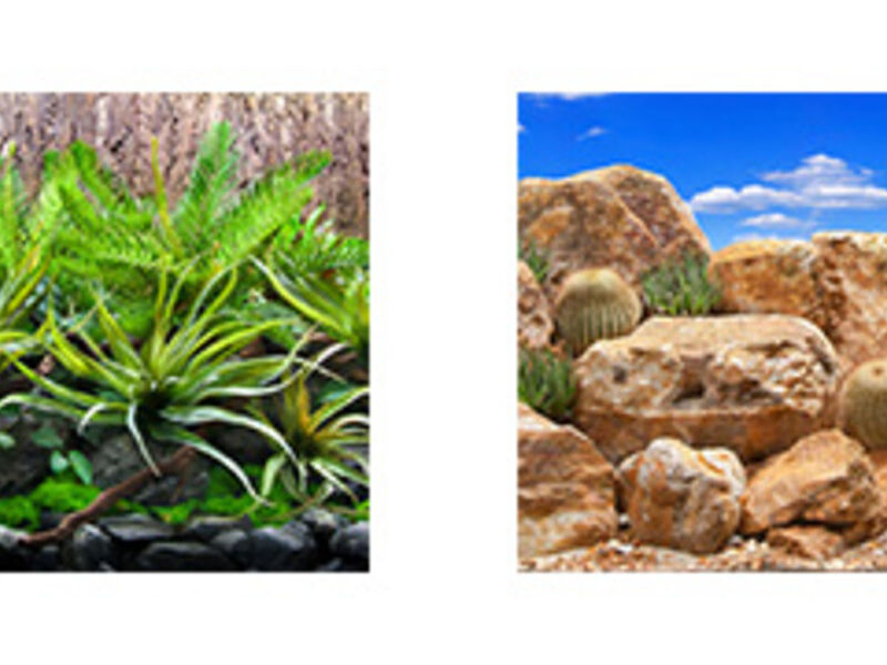 RESPALDO 2 VISTAS BGTT7 18 México