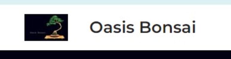 Oasis Bonsai
