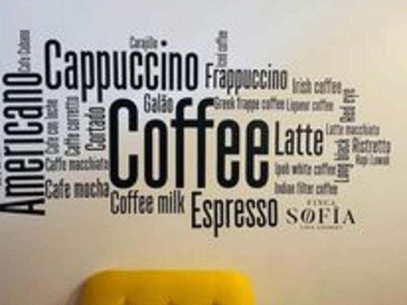 Vinil Decorativo 6 Xalapa 