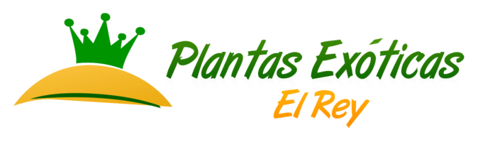 El Rey Plantas Exóticas