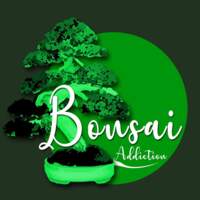 Bonsai Addiction