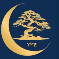 Moon Bonsai Ypz