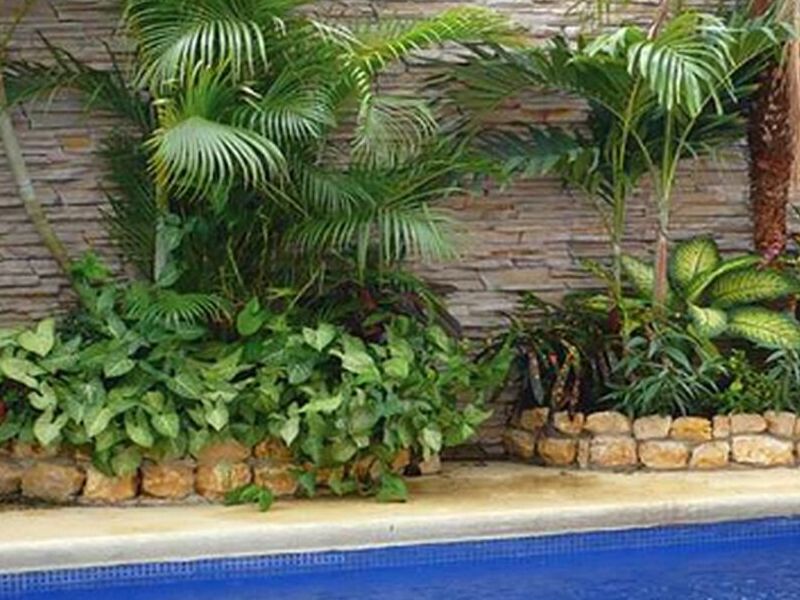 Pared Carolina plata
