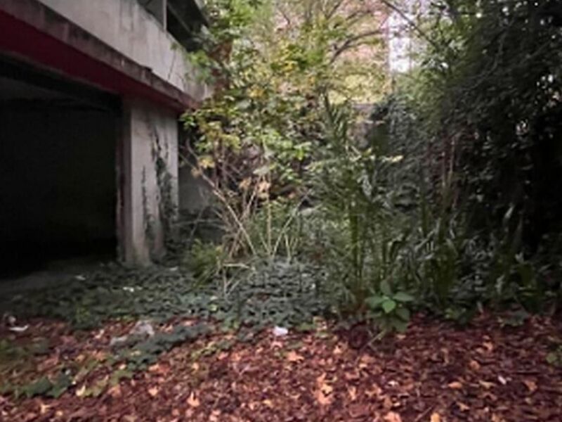 Terreno Venta Miguel Hidalgo México