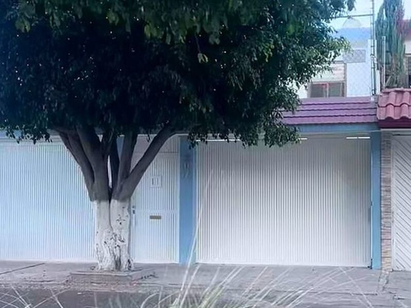 Casa Árbol México