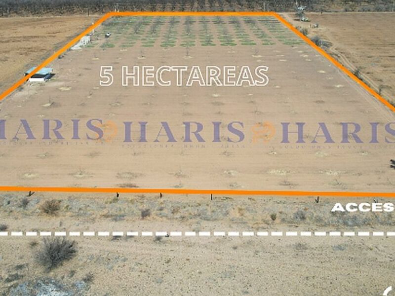 Rancho Nogalero México 