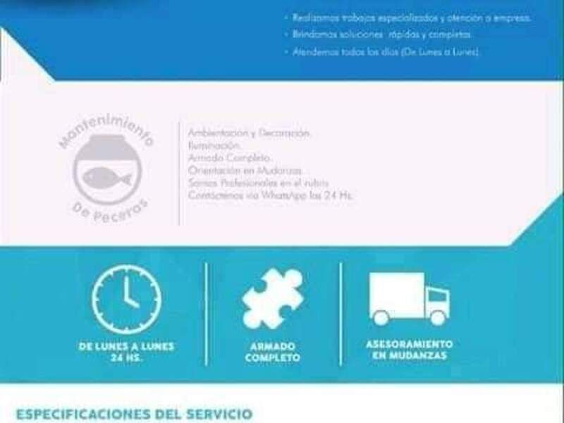 Mantenimiento Peceras México