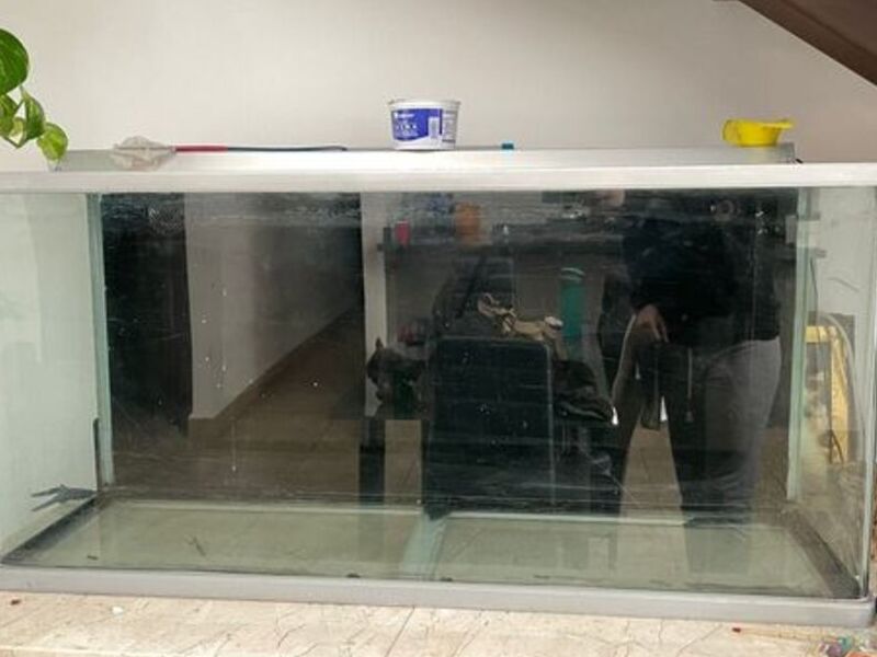Acuario 2 México