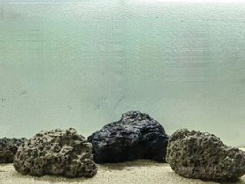 Acuario 3 México