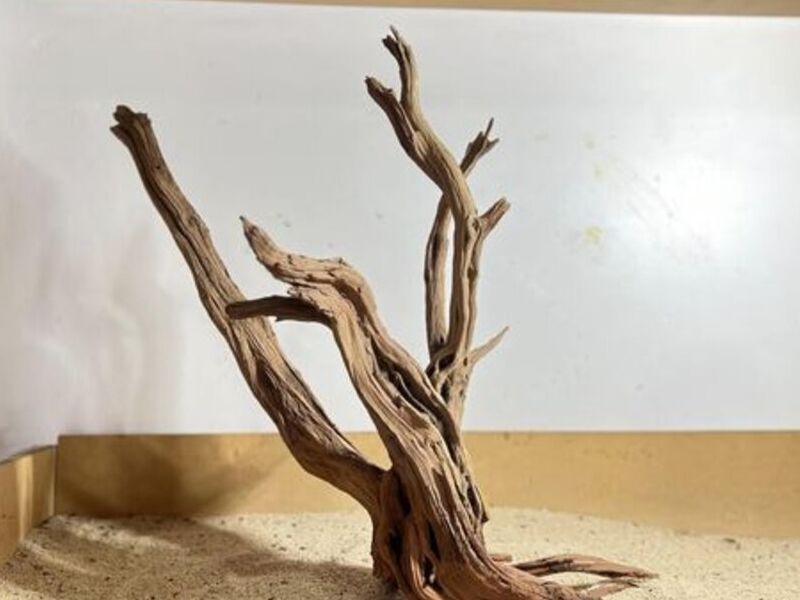 Maderas manzanita México