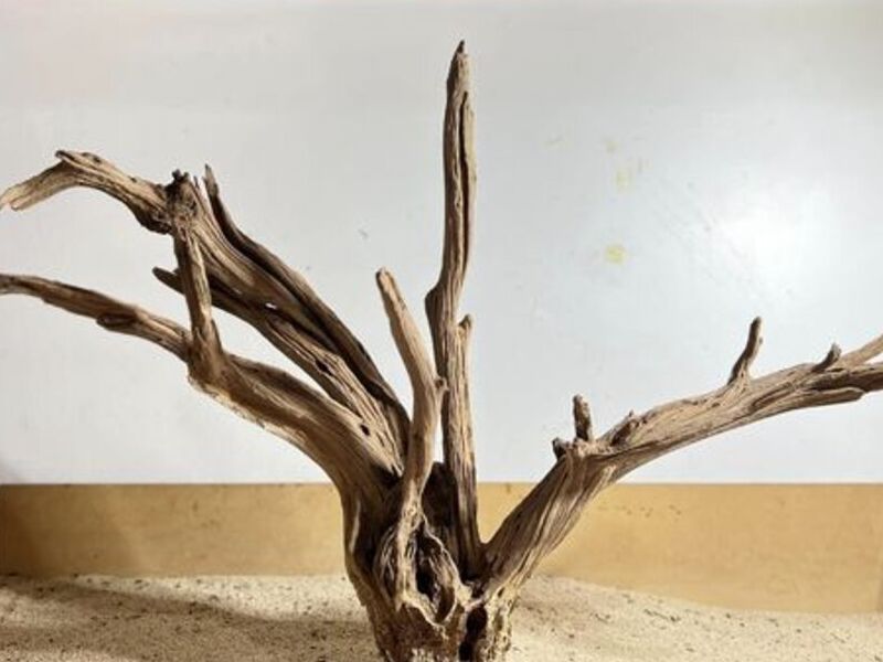 Maderas manzanita 2 México