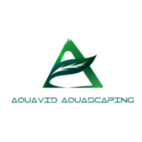 Aquavid Aquascaping