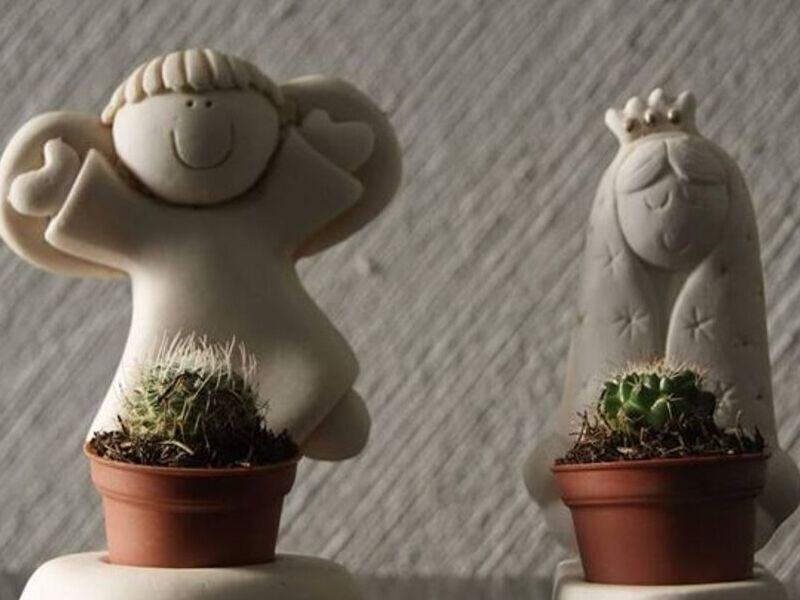 Cactus Virgen México