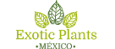 Exotic Plants Mexico