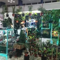 Planet Plant JDV Exóticas