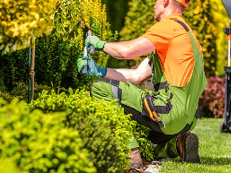 Jardinería México