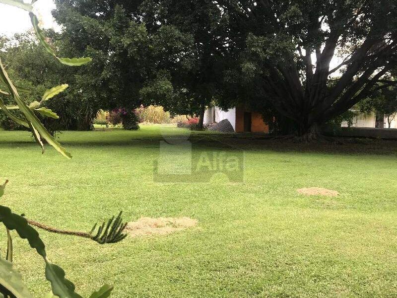 Terreno venta Residencial Celaya