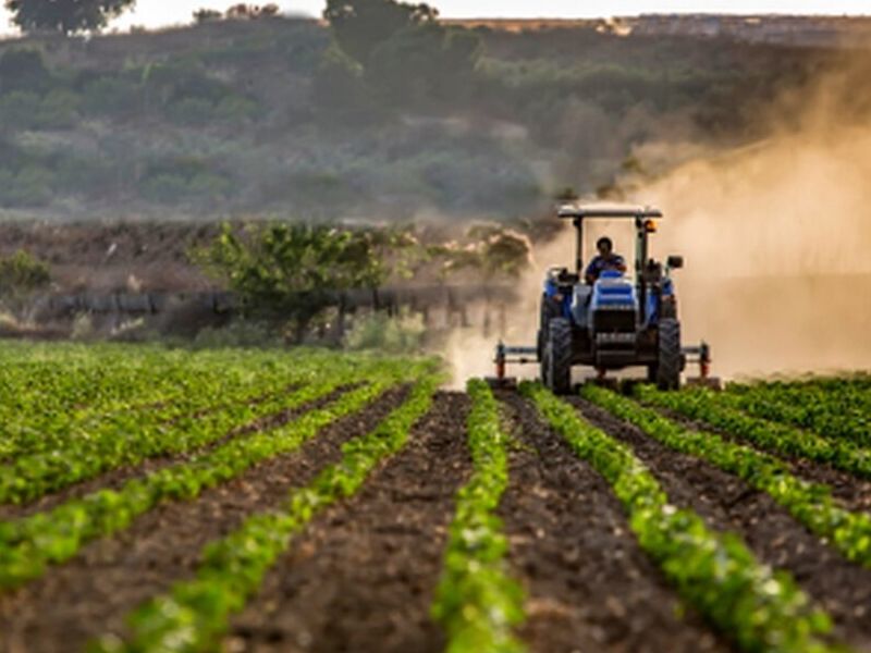 Agropecuarios México