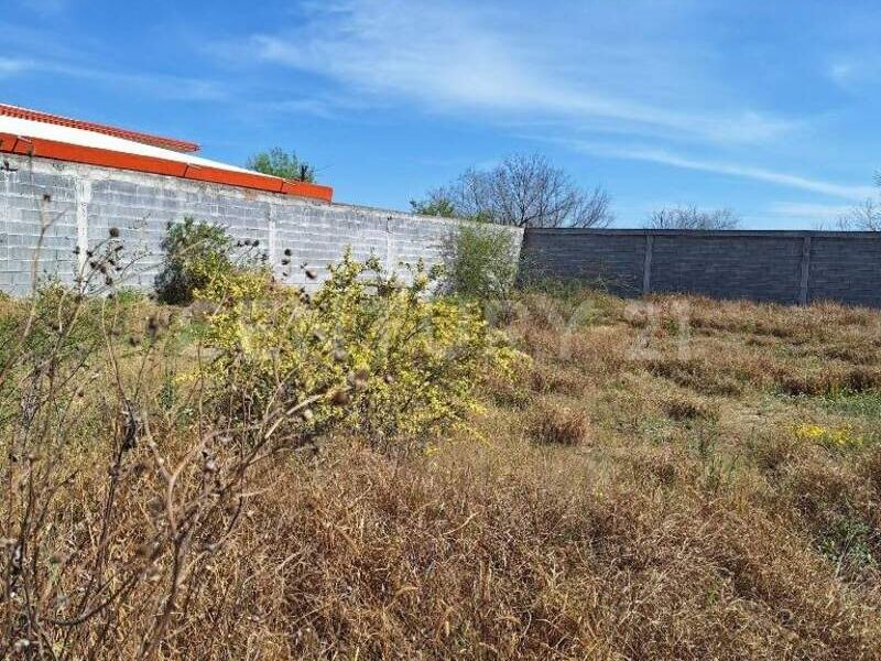 Terreno venta SALINAS Catarina