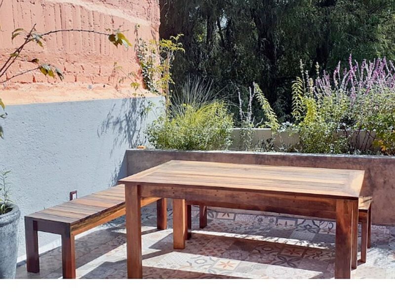 Asesoría Botánica CDMX