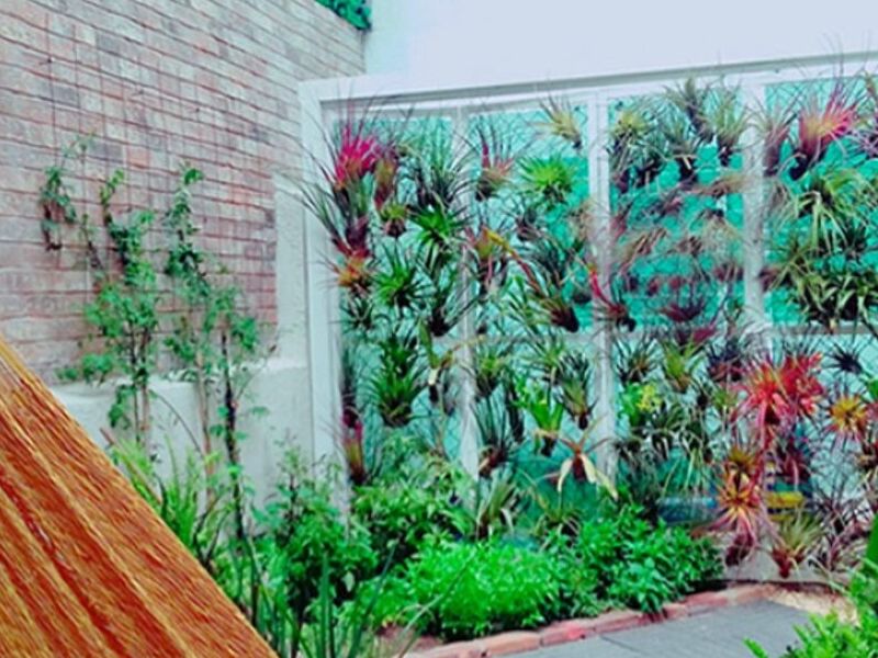 Diseño Parques CDMX