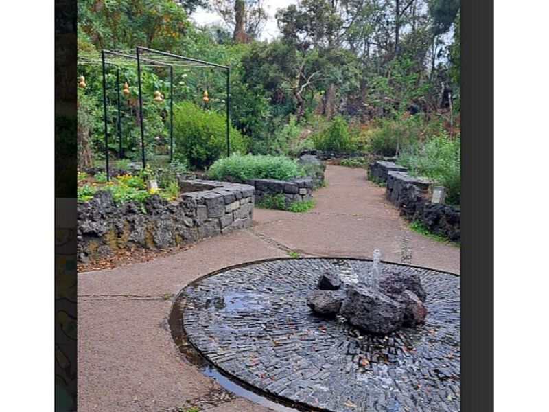 Asesoría Botánica Guadalajara