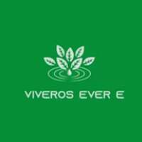 Viveros Ever Excel