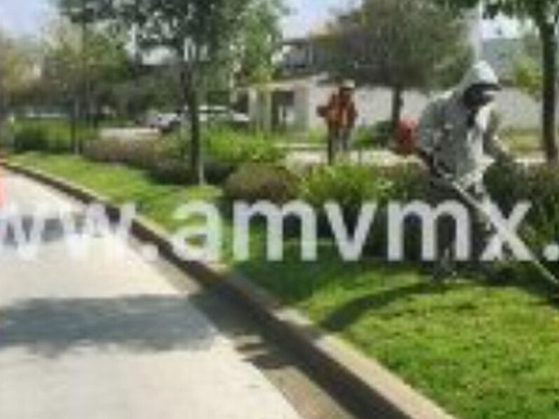 Mantenimiento Áreas Verdes Guanajuato