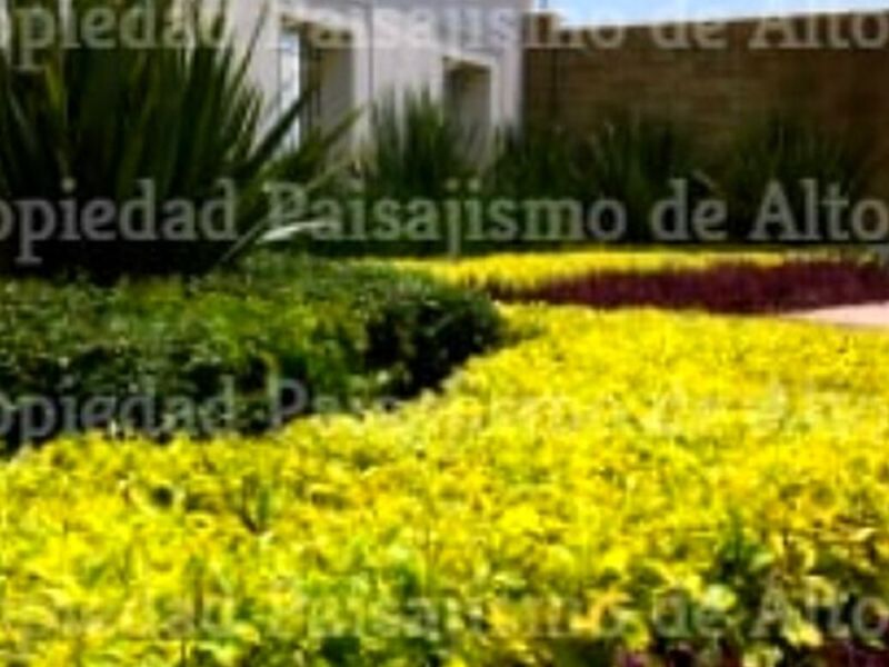 Mantenimiento Áreas Verdes Durango