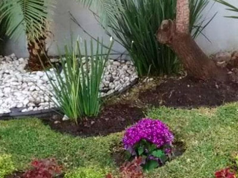 Diseño Jardines Orizaba