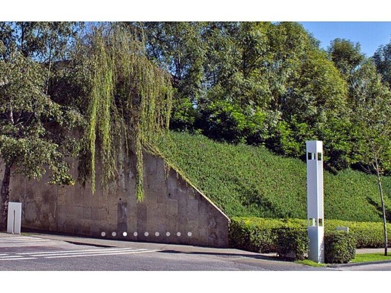 Diseño Arquitectura Paisaje Guadalajara	