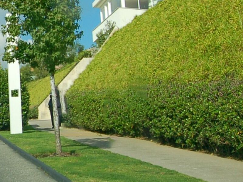 Diseño Jardinería Guadalajara