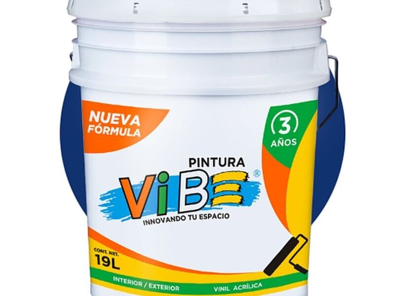 Pintura ViB de Oaxaca