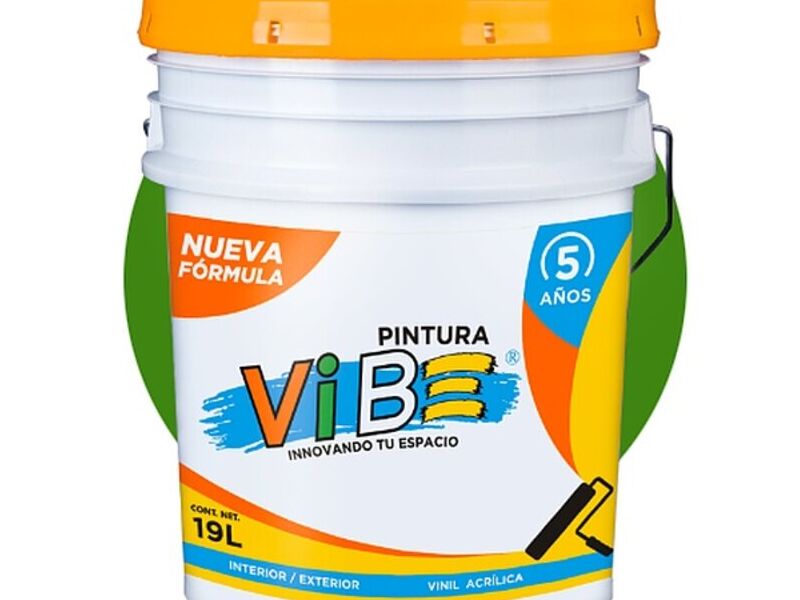 Pintura ViB 5 años de Oaxaca