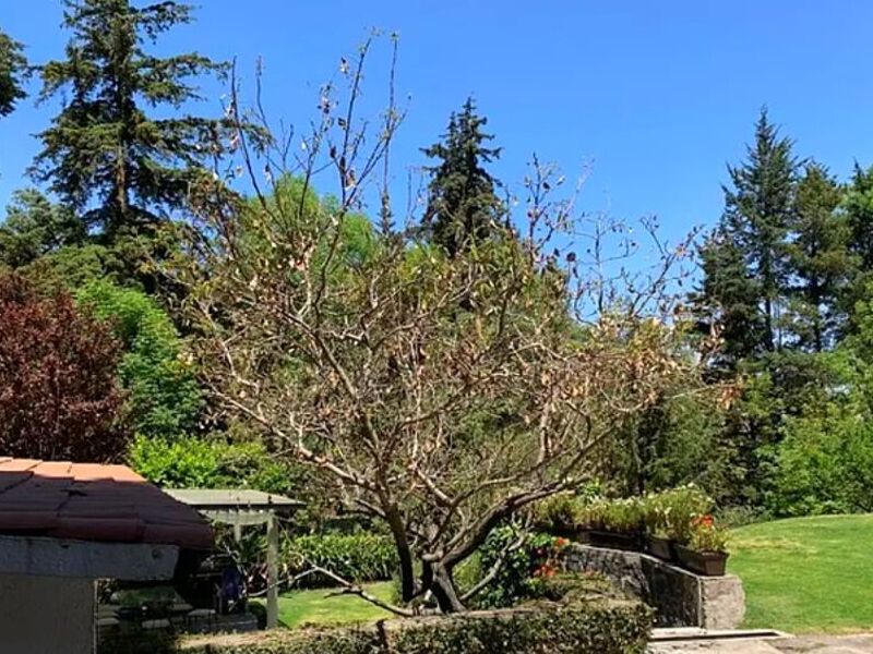 Terreno Venta México 