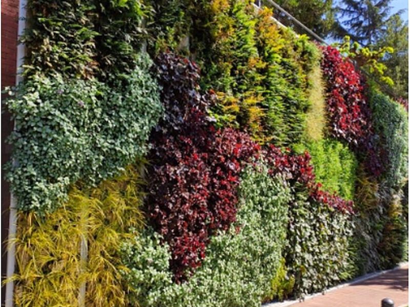 Jardines verticales Merida