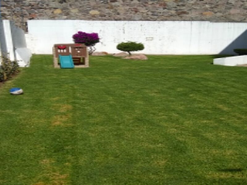 Instalación Pasto Rollo Zapopan
