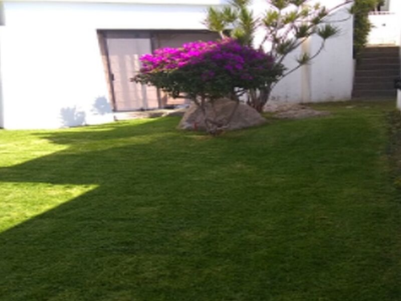 Instalación Pasto Rollo Monterrey